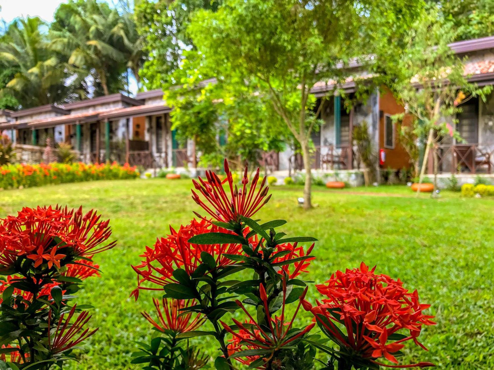 Villa Pinnawala Dış mekan fotoğraf