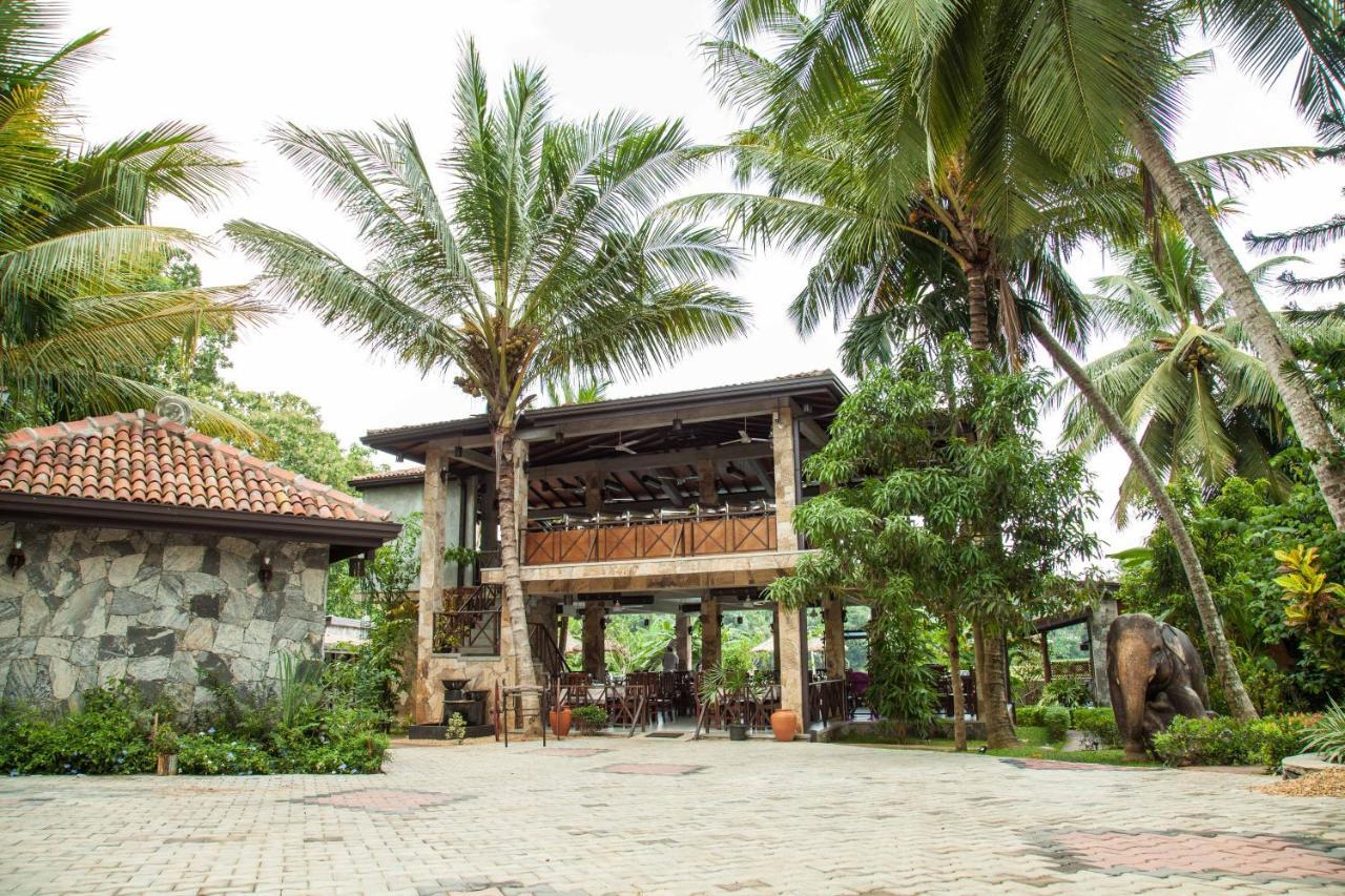 Villa Pinnawala Dış mekan fotoğraf